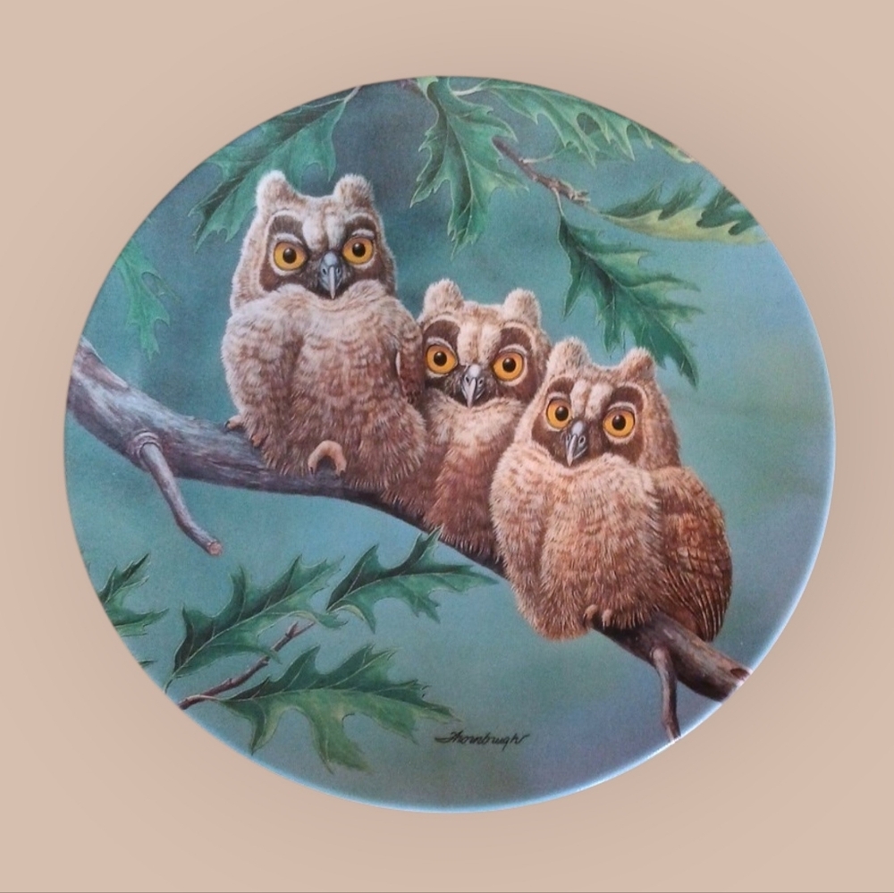 📍SALE📍Threes Company: Long Eared Owls | Signed By Artist - Picture 5 of 5